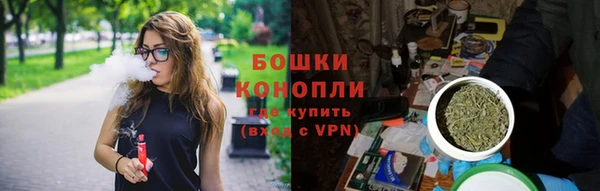 шишки Струнино