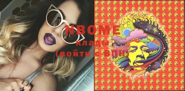 шишки Струнино